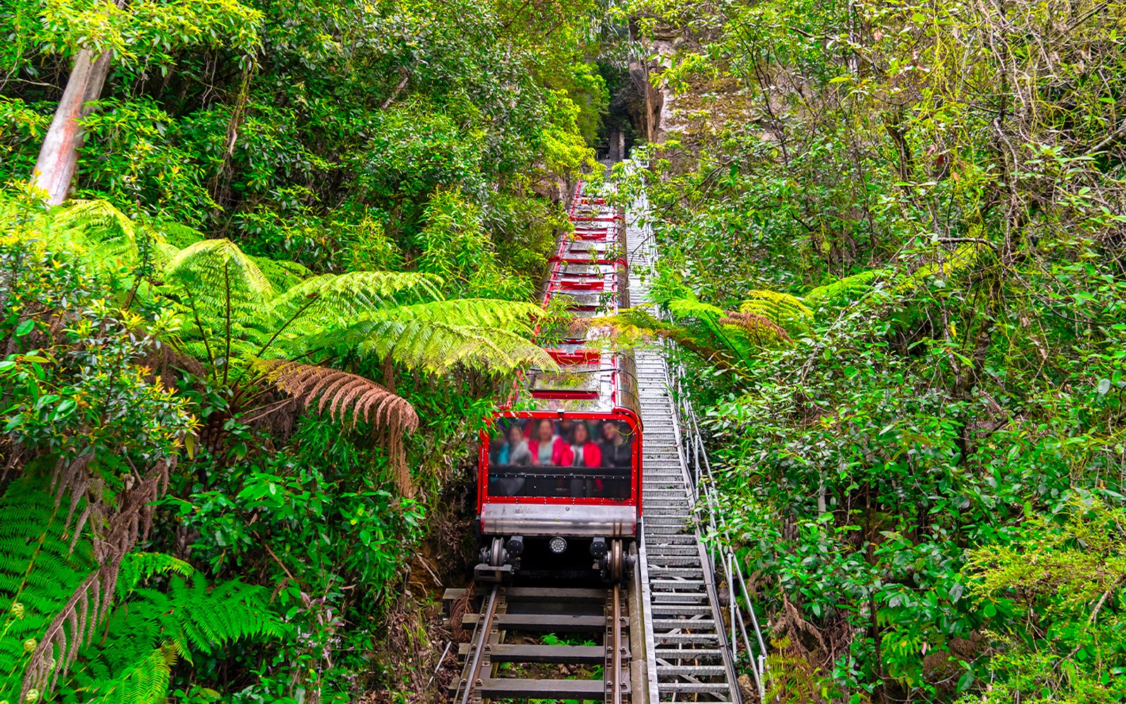 Blue Mountains Tour with Scenic World & Sydney Zoo — gallery 2