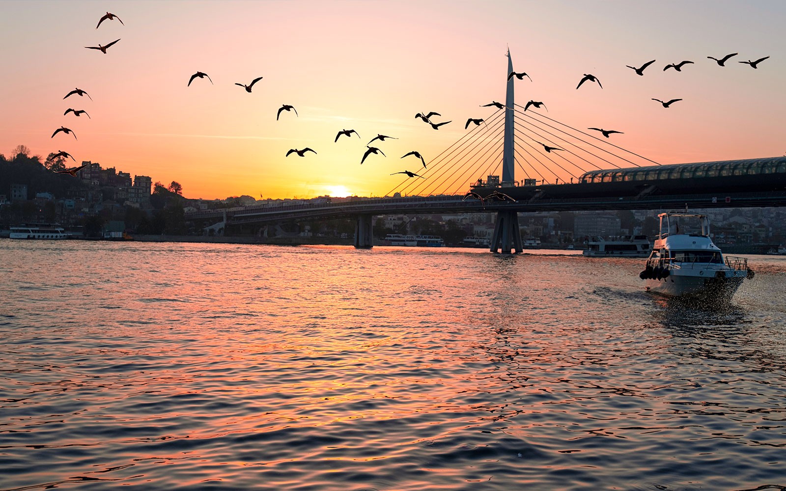 Bosphorus & Golden Horn Sunset Yacht Cruise with English-Speaking Guide — gallery 2