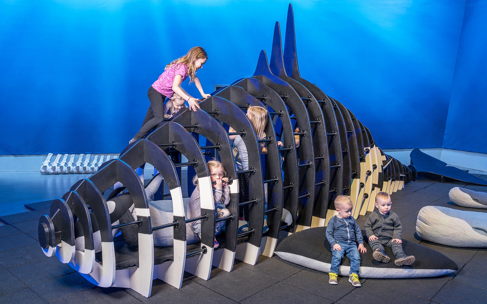 Tickets to Whales of Iceland Museum