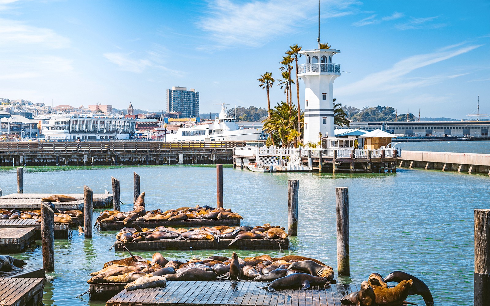 Combo: Alcatraz Tour + San Francisco 48-Hour Hop-on Hop-off Bus Tour