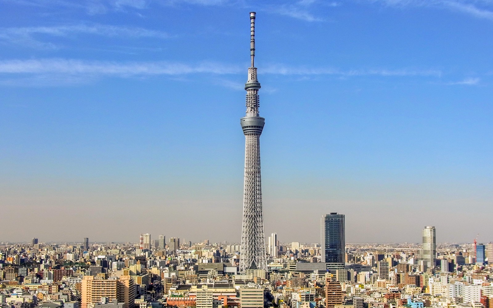 Amazing Tokyo 1-Day Bus Tour — gallery 1