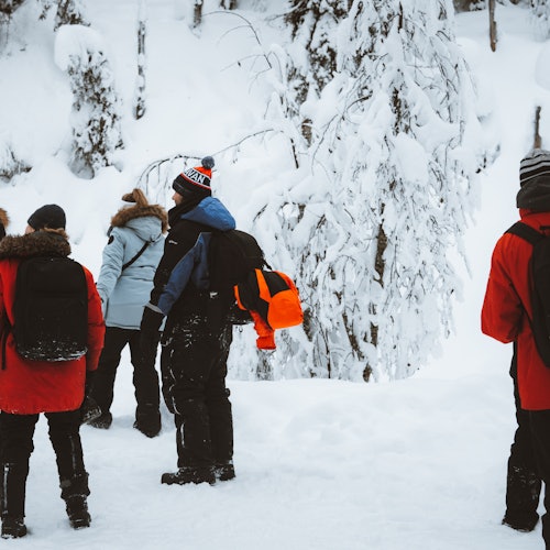 Korouoma Canyon: Frozen Waterfalls Trip From Rovaniemi — gallery 3
