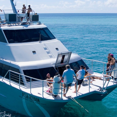 Ocean Freedom Great Barrier Reef Tour — gallery 4