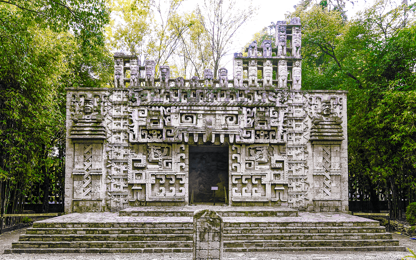 Anthropology Museum & Chapultepec Castle Guided Tour