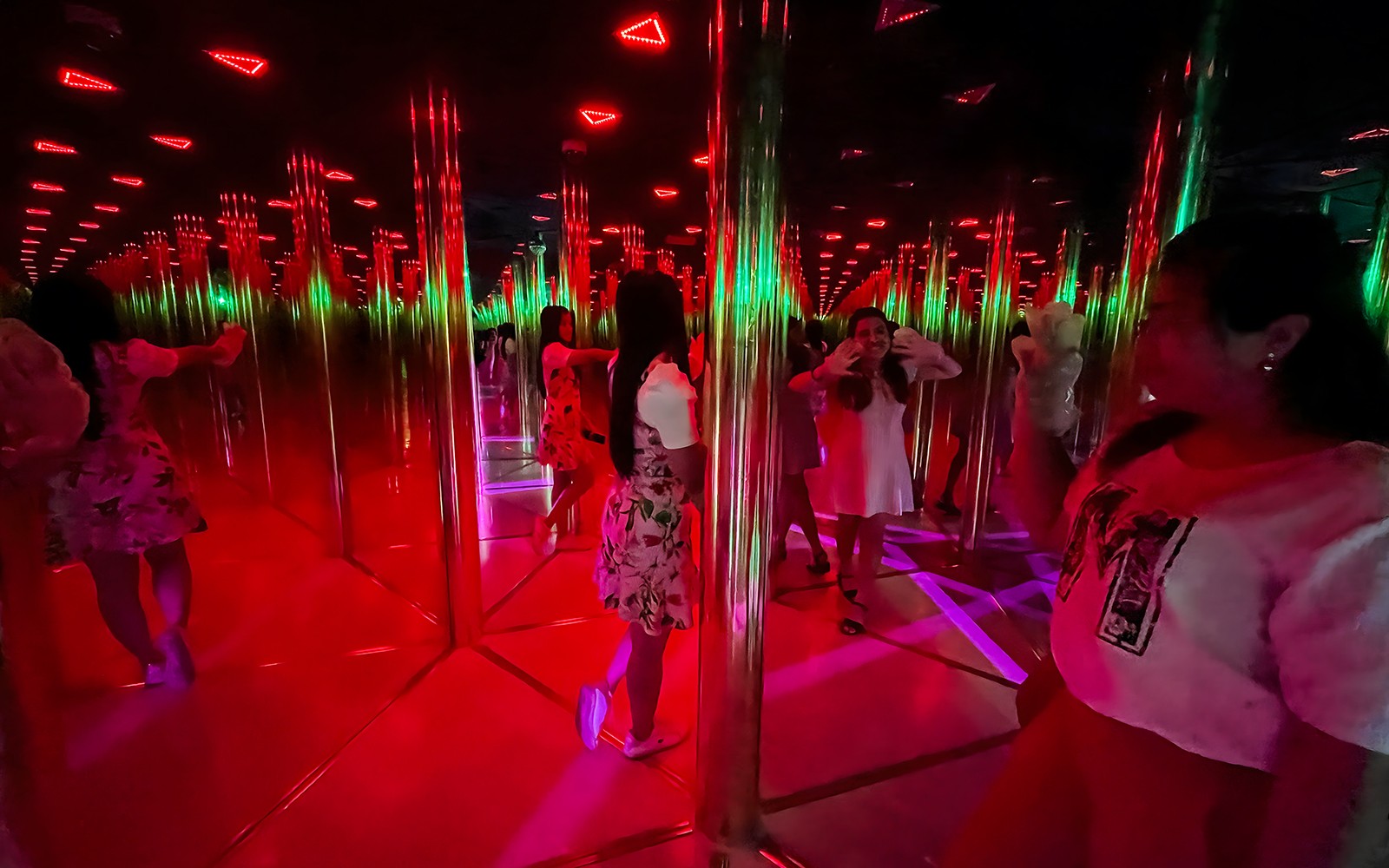 Dubai Dolphinarium: Dolphin & Seal Show + Mirror Maze Tickets with Popcorn