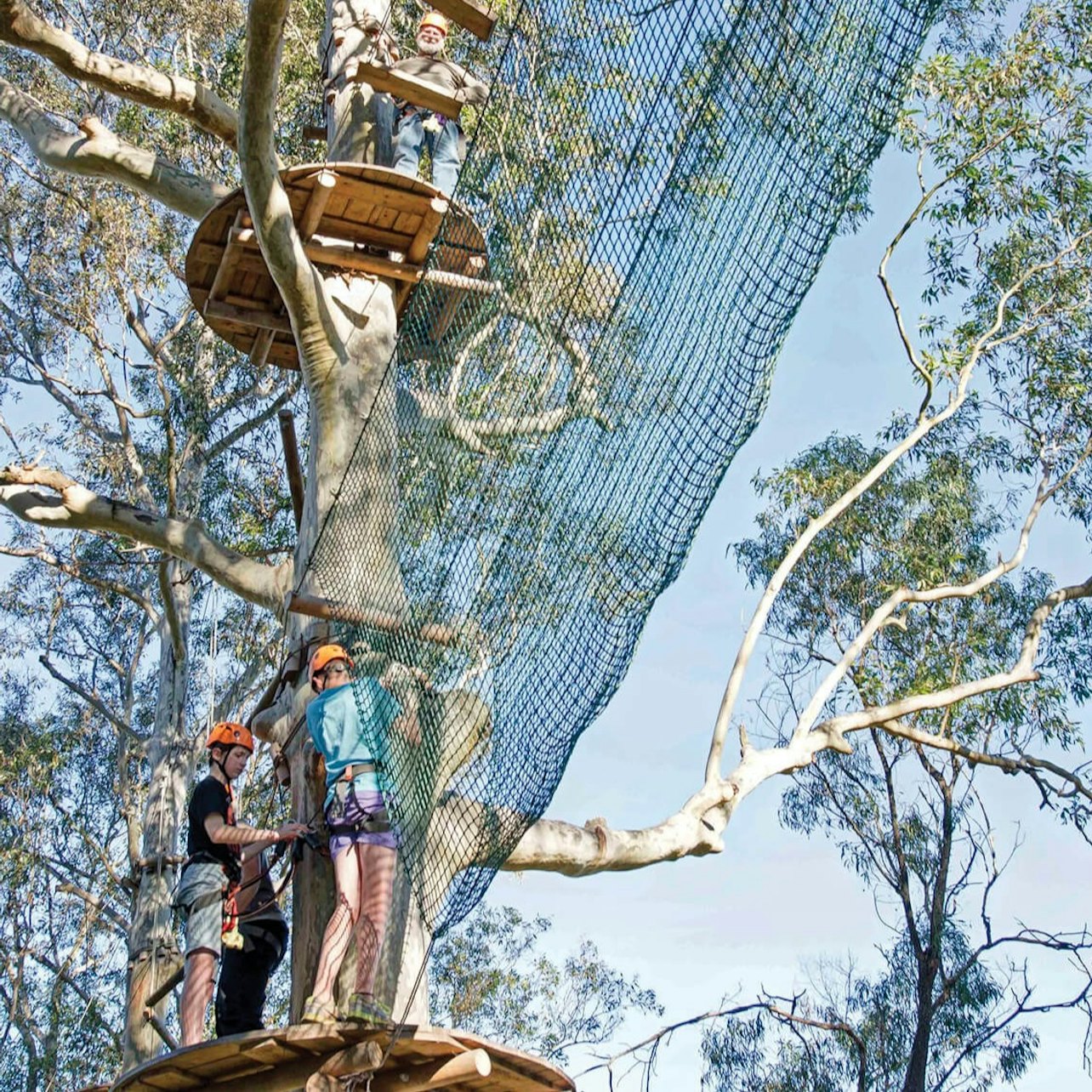 Western Sydney: Treetops Adventure