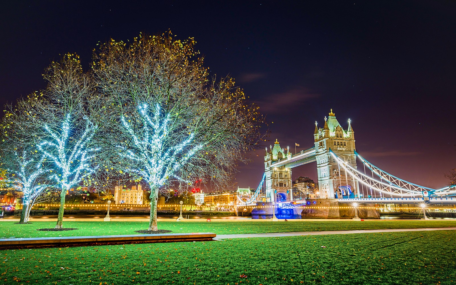 Christmas Eve Guided Tours in London — landscape