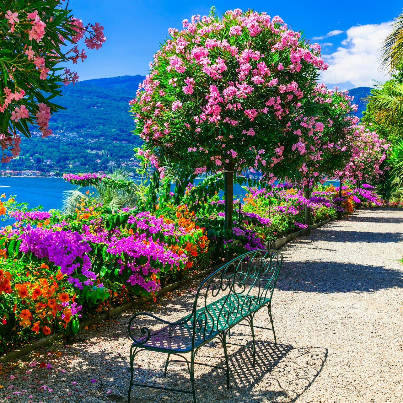Lake Maggiore: Daytrip from Milan