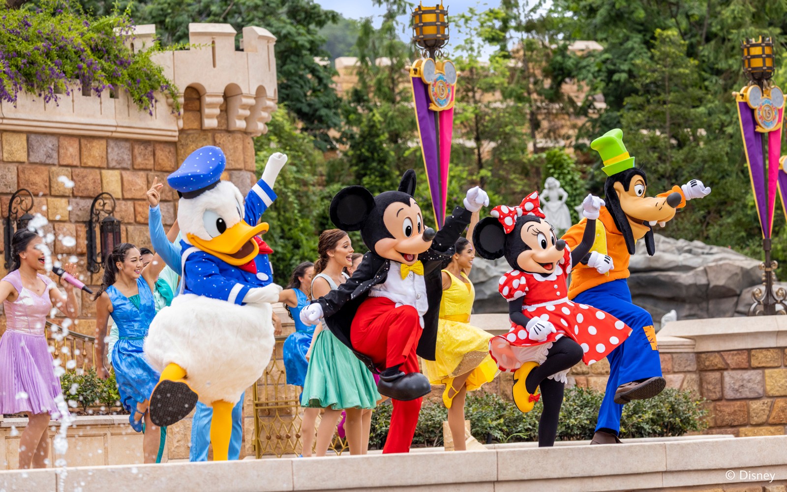 Disneyland: Disney Premier Access (Admission Not Included)