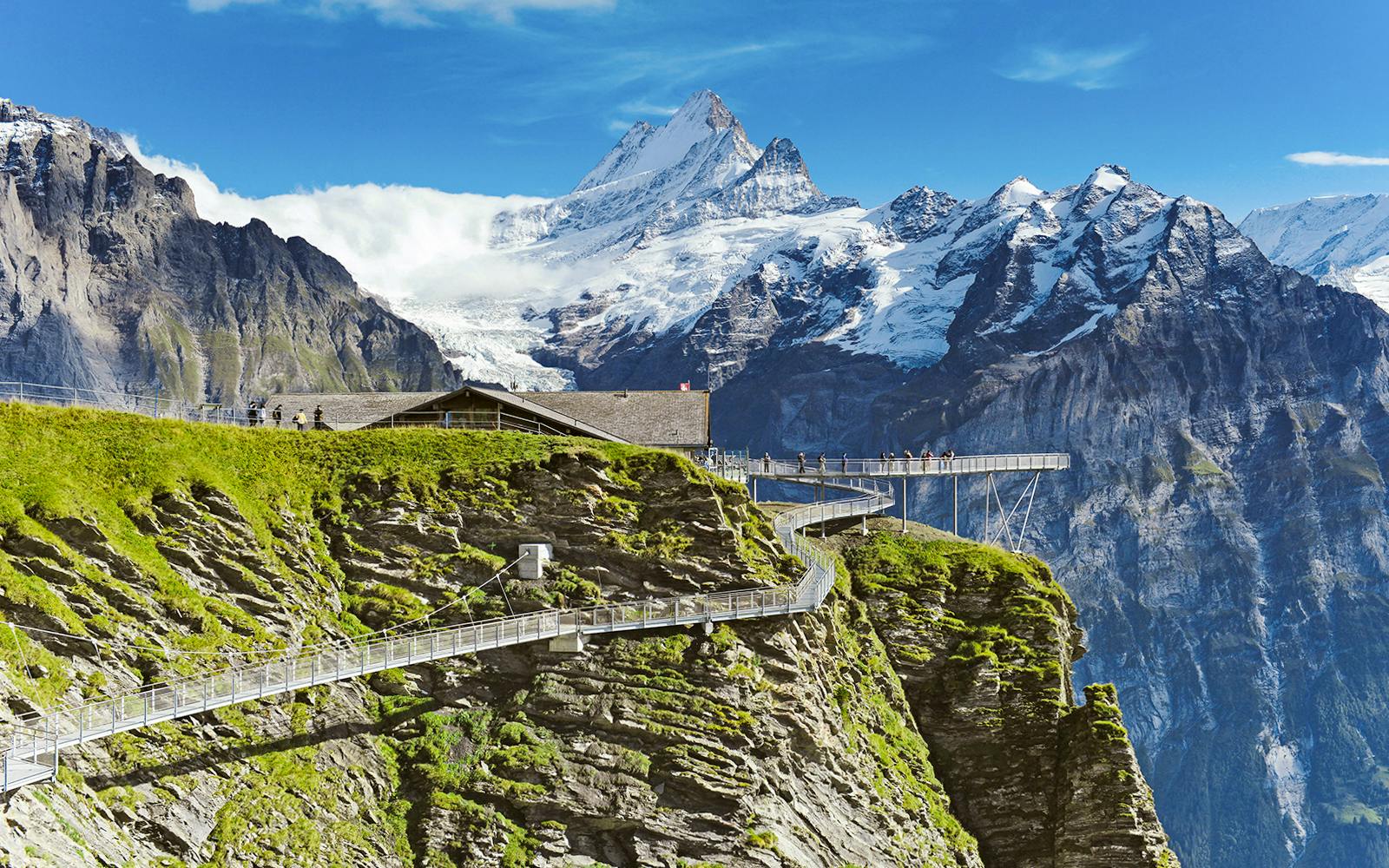 Grindelwald First Mountain Tickets