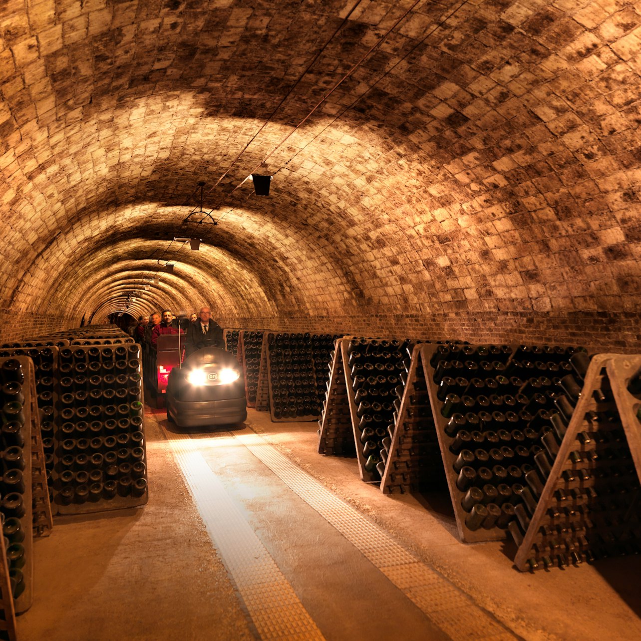 Codorníu Winery: Guided Tour + Cava & Appetizers Tasting