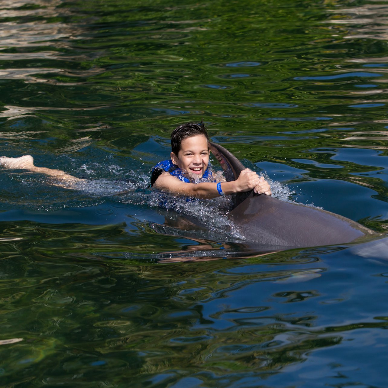 Delphinus Xcaret: Entry Ticket + Transfers + Swim with Dolphins