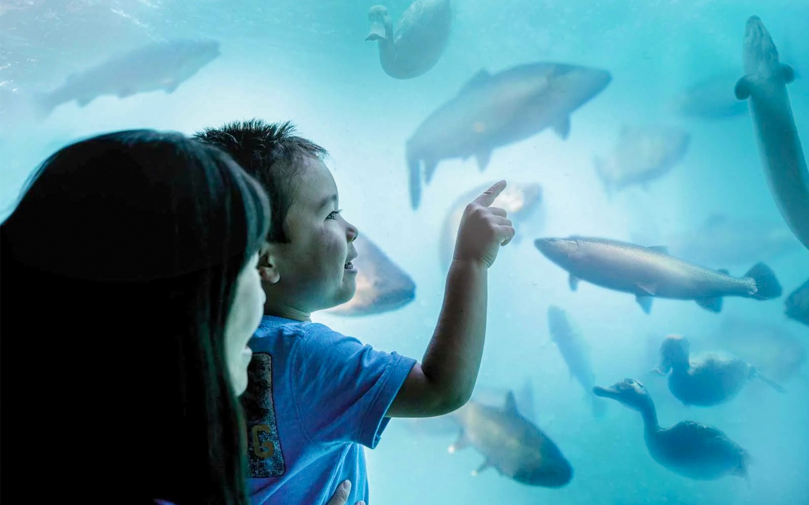 Time Tripper: Hidden Underwater Theatre Experience Tickets