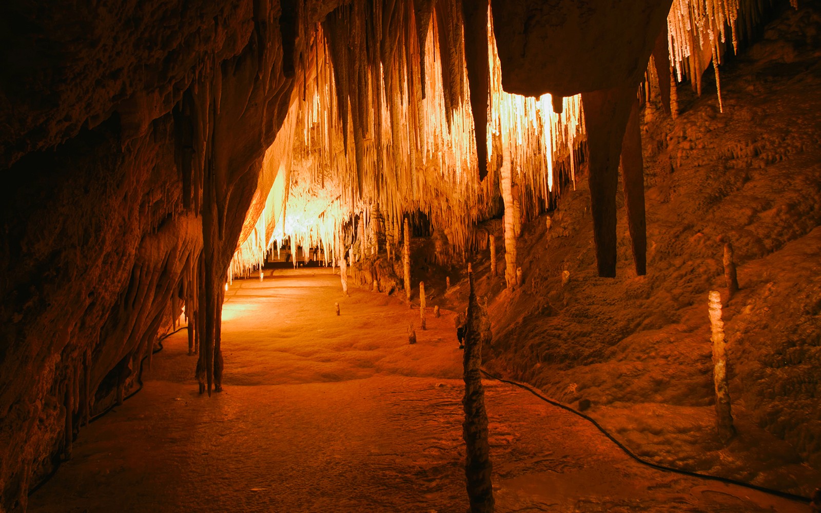 Full-Day Guided Tour of Tahune Airwalk & Hastings Caves
