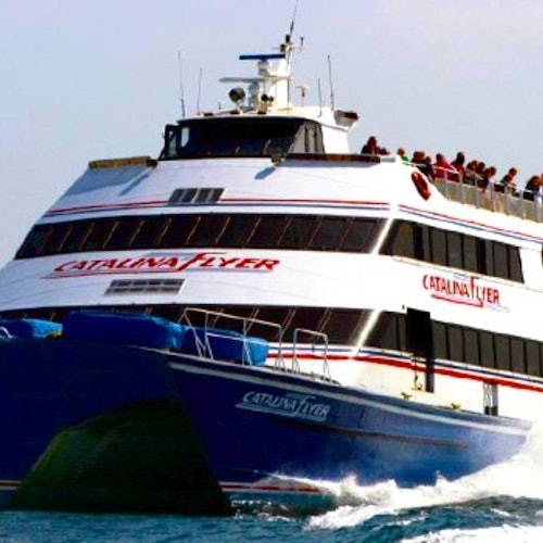 Catalina Island: Day Trip with Zipline Eco Tour — gallery 1