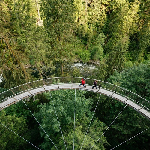 Capilano Suspension Bridge Park: Entry Ticket