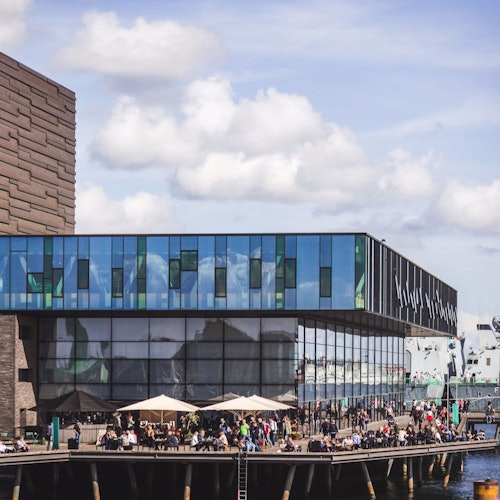 Copenhagen: Guided Walking Tour in French — gallery 1