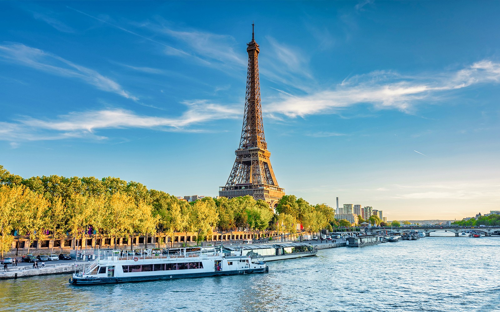 Combo: Eiffel Tower Guided Tour by Elevator with Seine River Cruise — gallery 1