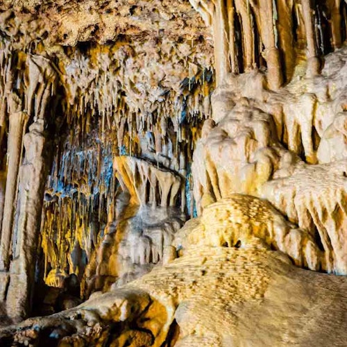 Dinosaurland & Caves dels Hams: Combo Ticket — gallery 2