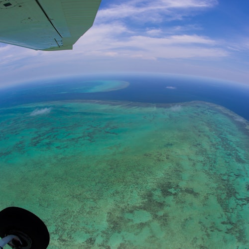Port Douglas: Green Island Fly and Cruise — gallery 1