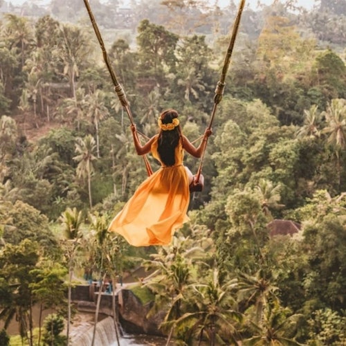 Ubud: Private Guided Tour + Transport — gallery 3