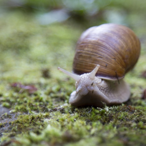 Olympic National Park: All-Inclusive Small Group Day Trip from Seattle — gallery 3