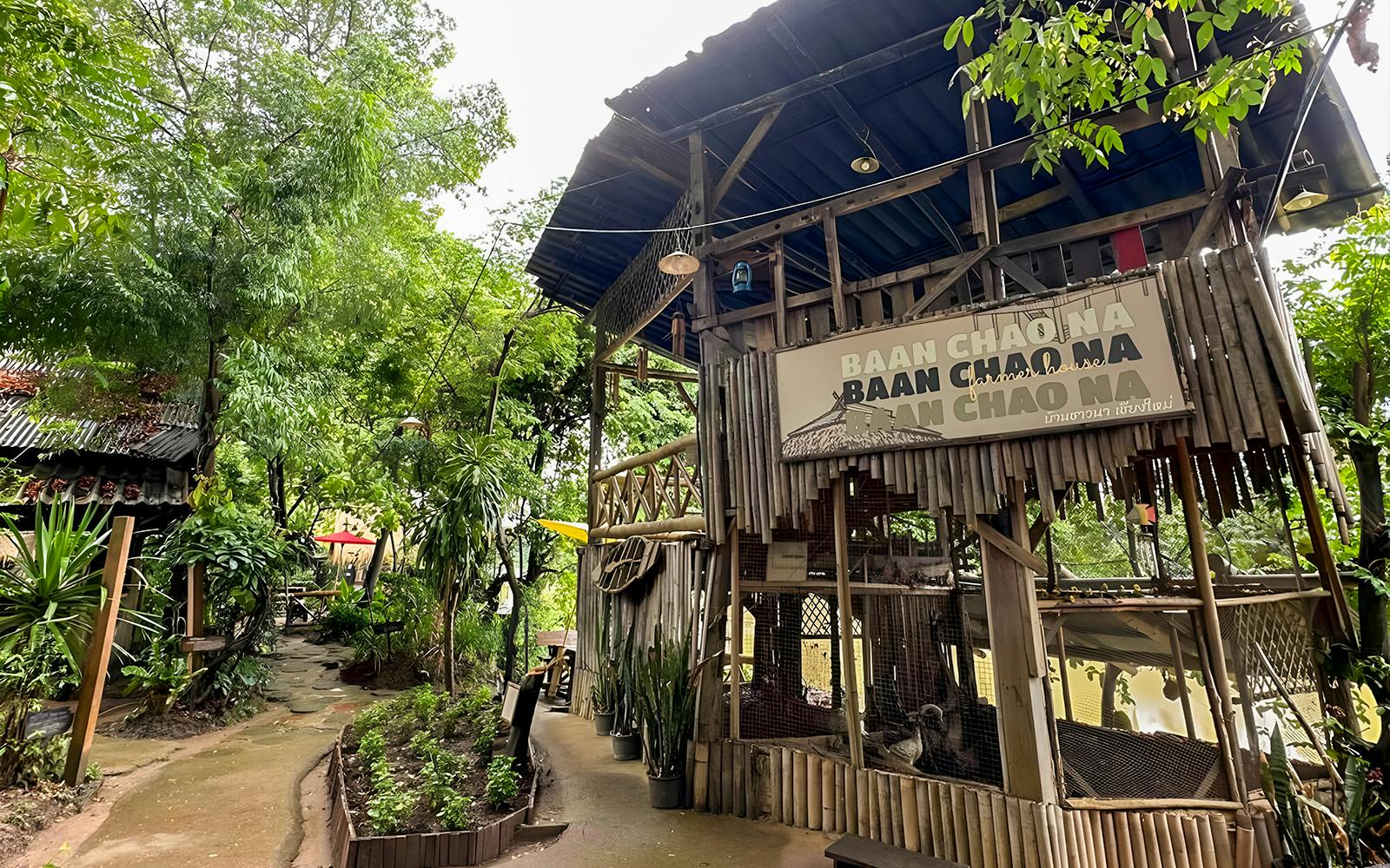Mae Ping River Cruise with Optional Lunch