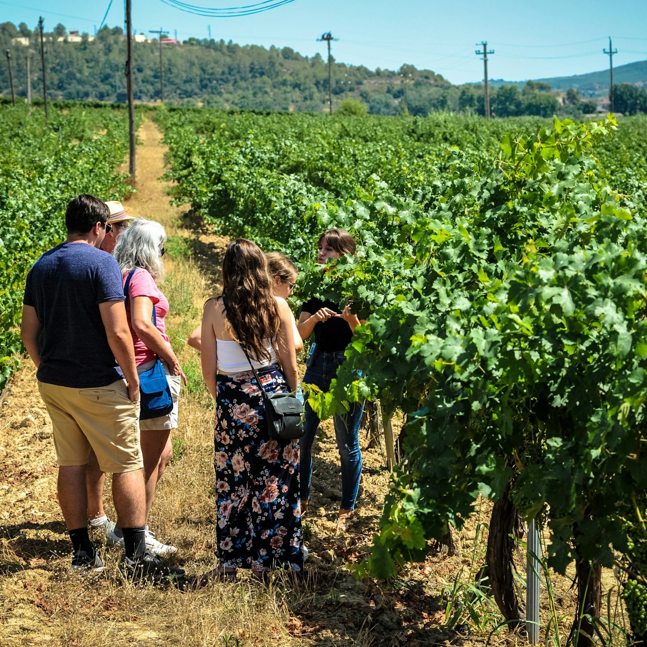 Montserrat: Small Group Tour from Barcelona with Organic Wine Tasting — gallery 2