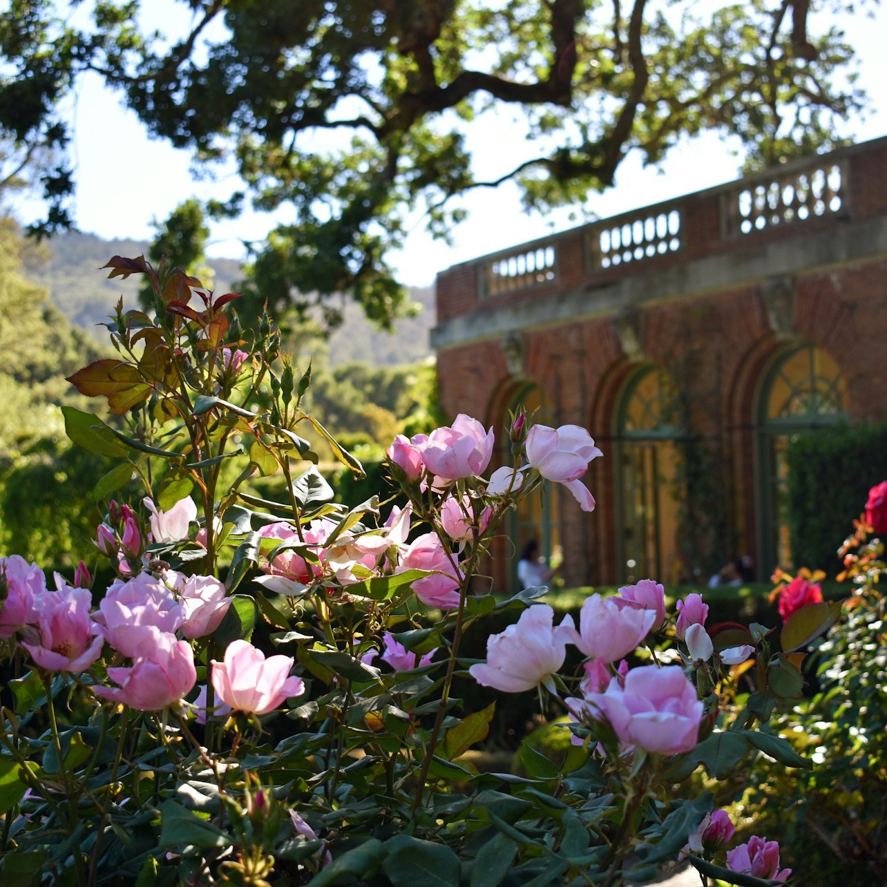 Filoli Summer Nights Admission