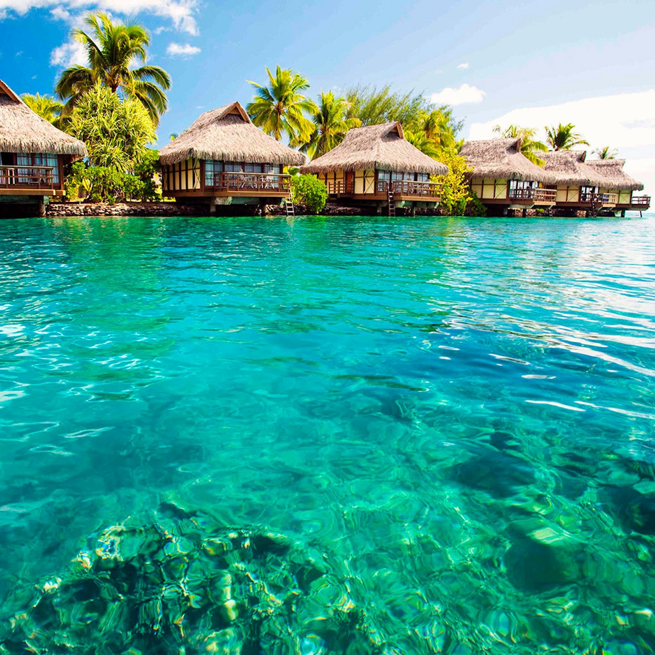 Bimini Bahamas: Roundtrip Ferry from Fort Lauderdale
