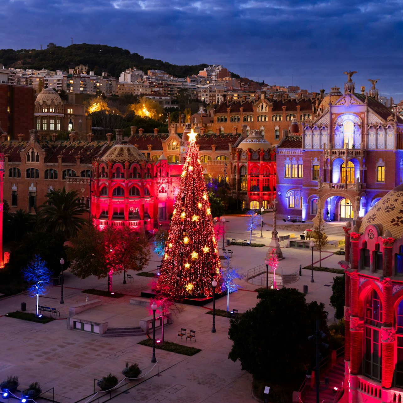 Els Llums de Sant Pau: Christmas Garden — gallery 4
