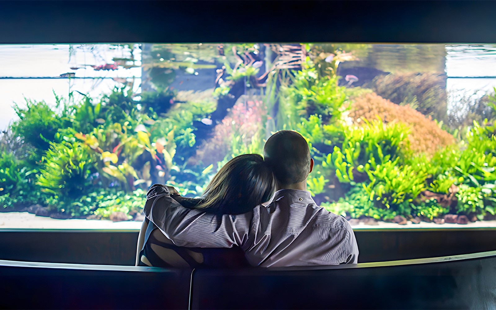 Oceanário de Lisboa Tickets