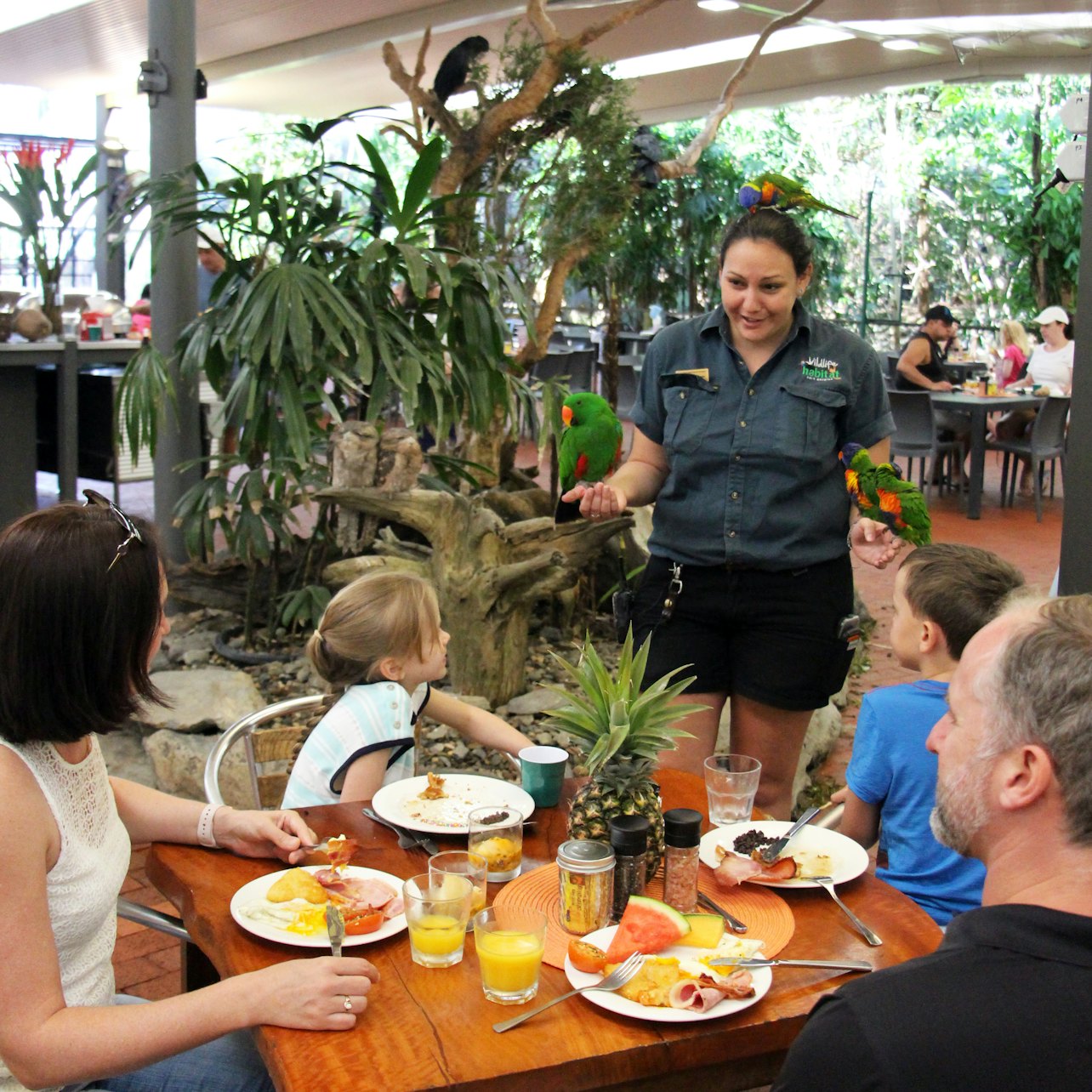 Port Douglas Wildlife Habitat