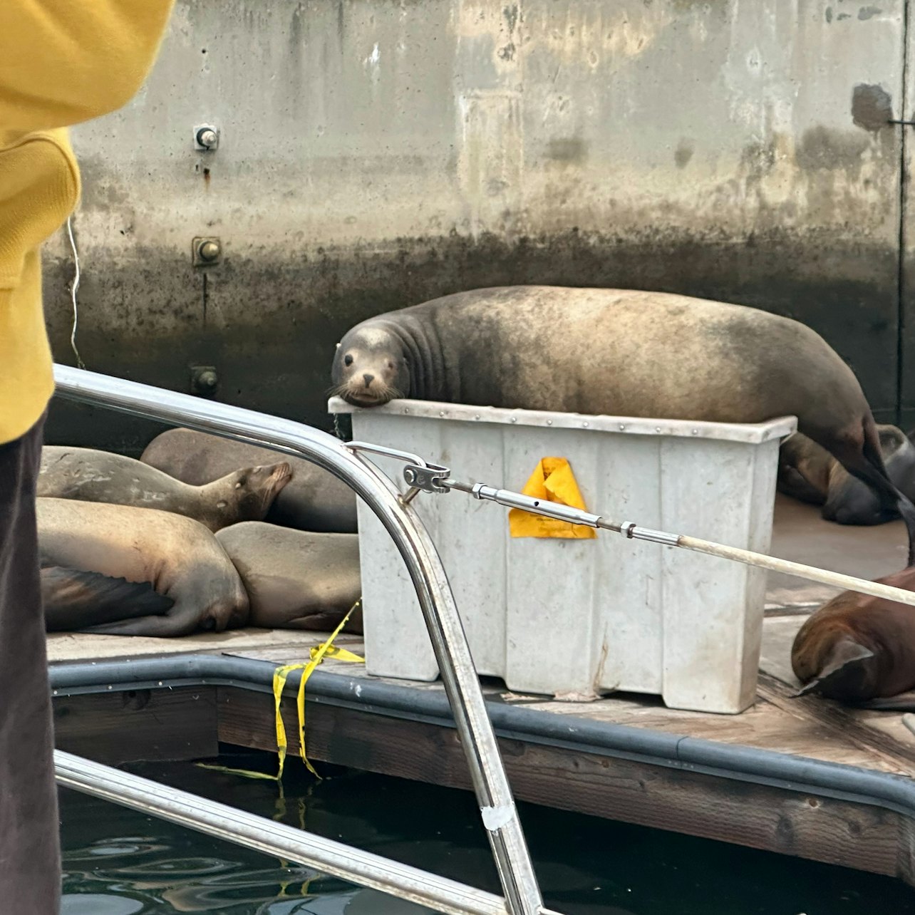 Los Angeles: Marina del Rey Guided Cruise — gallery 2