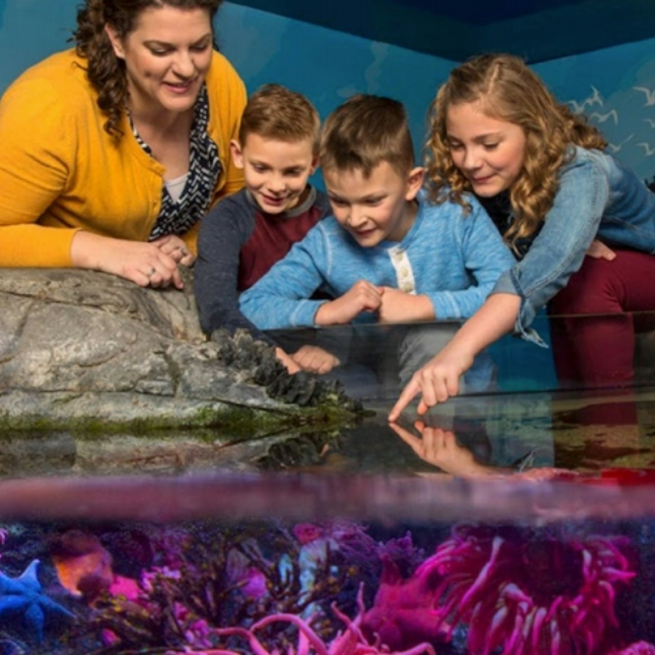 SEA LIFE Orlando: Entry Ticket
