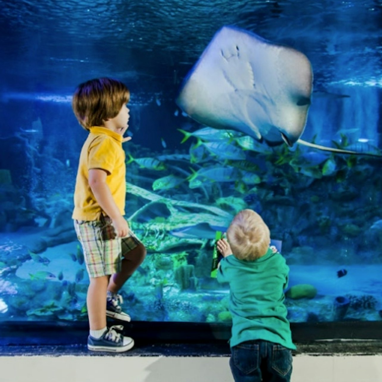 SEA LIFE Orlando: Entry Ticket