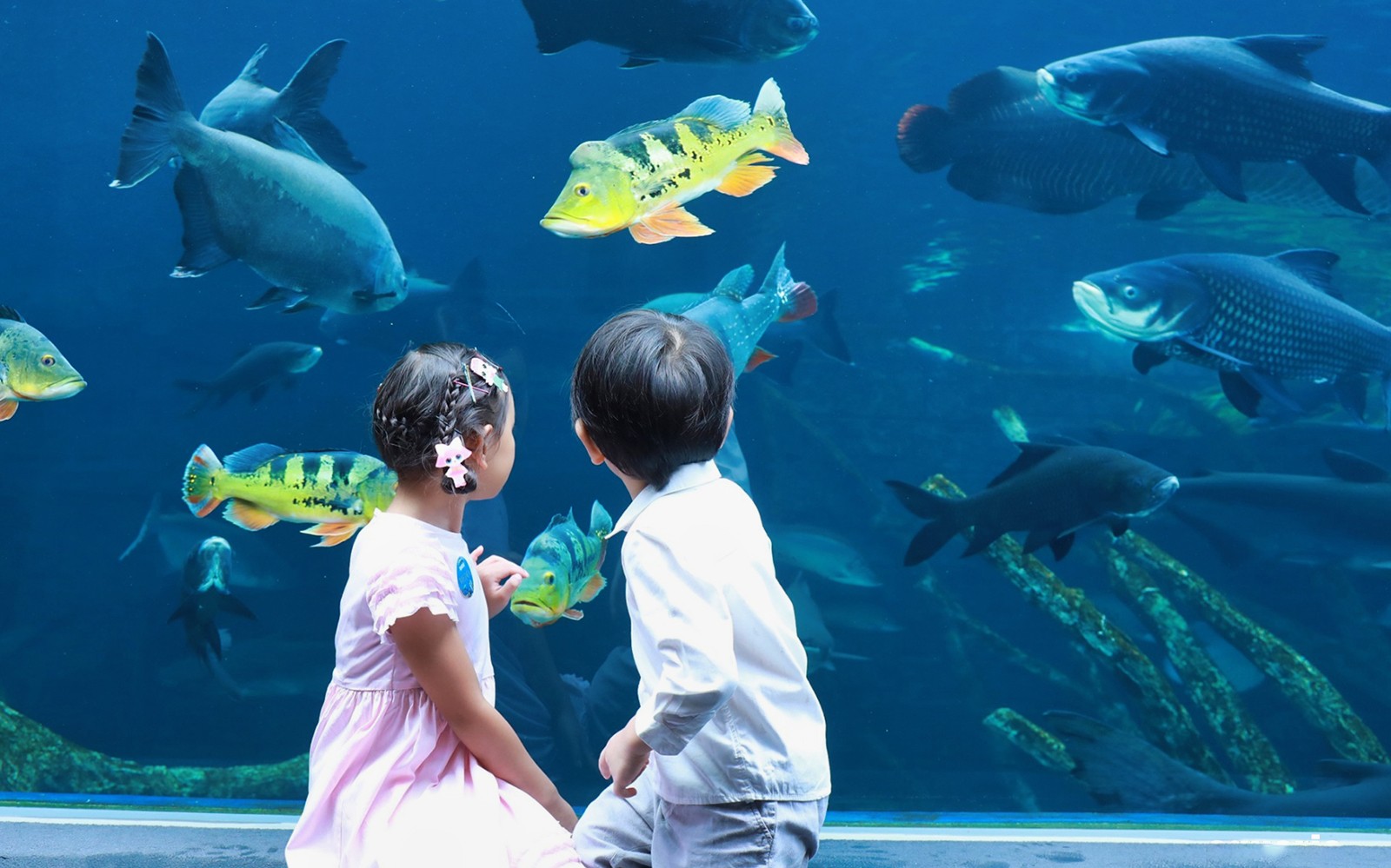 Aquaria Phuket Tickets: Non-Thai Residents — gallery 1
