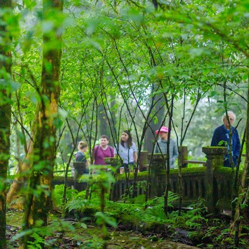 Doi Inthanon National Park: Guided Day Tour from Chiang Mai + Lunch + Transfers