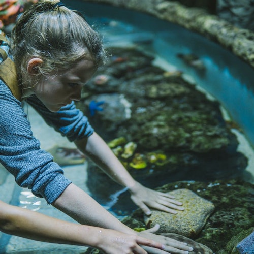 Marine Life Encounter at Cairns Aquarium — gallery 1