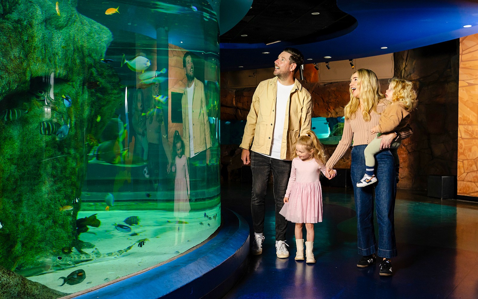 Penguin Passport Tickets: Guided Encounter at SEA LIFE Melbourne Aquarium