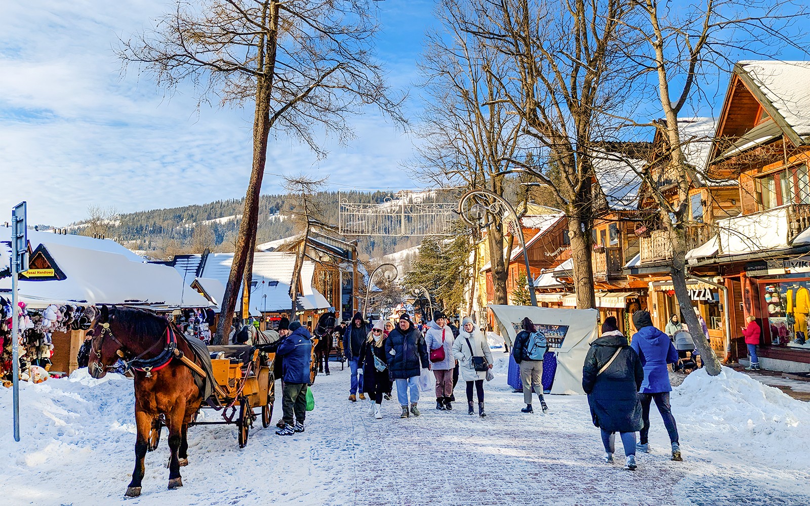 From Krakow: Zakopane Day Trip with Terma Bania Hot Springs, Cable Car & Transfers — gallery 4