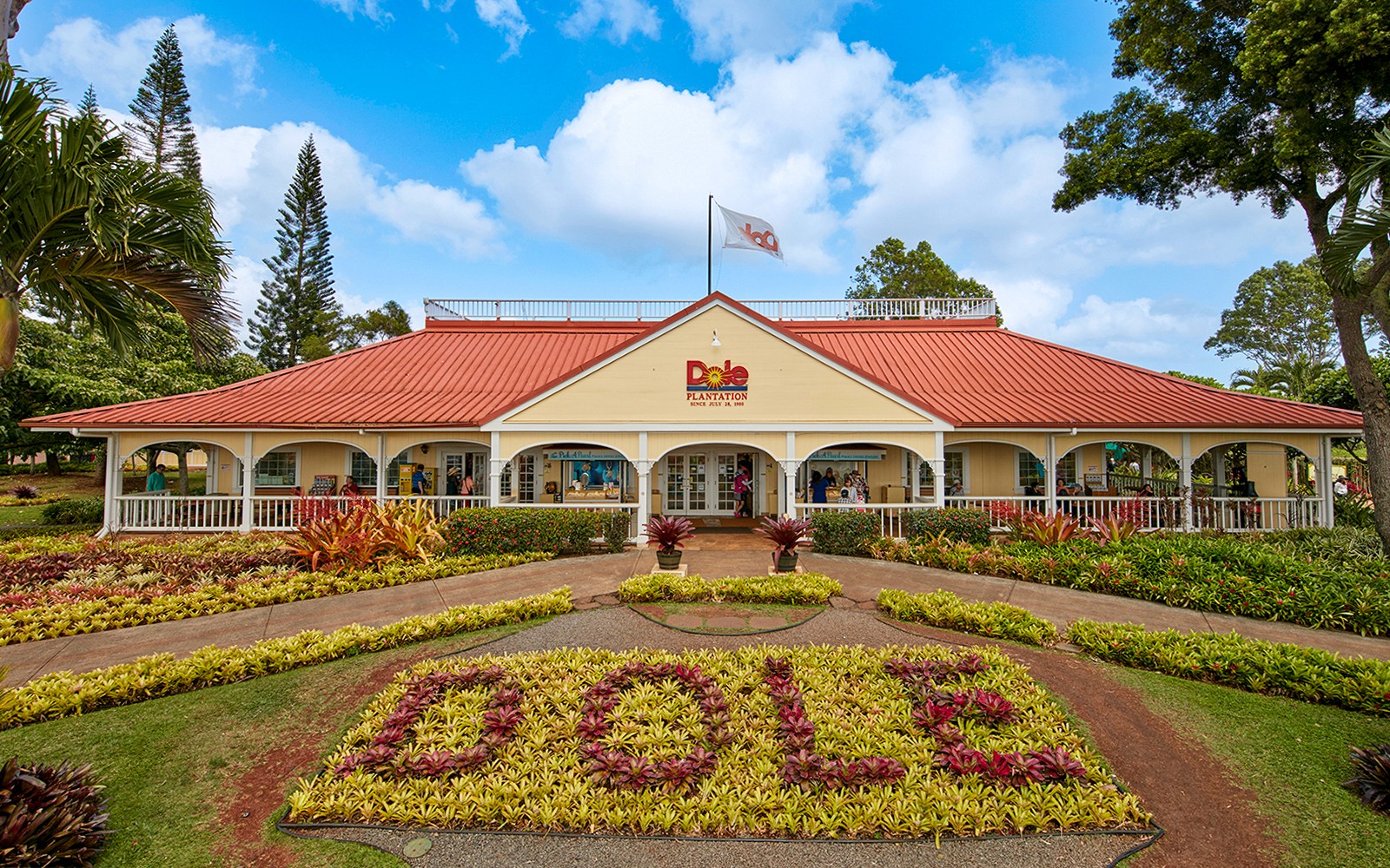 Haleiwa & Dole Plantation Express Half-Day Tour — gallery 1