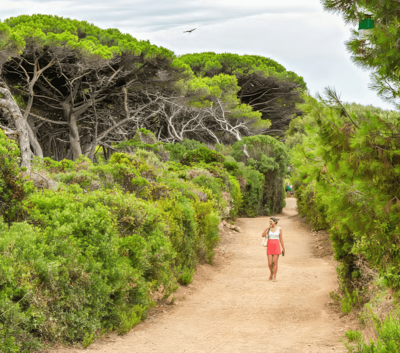 From Cannes: Round-Trip Ferry to Sainte-Marguerite, Lérins Islands
