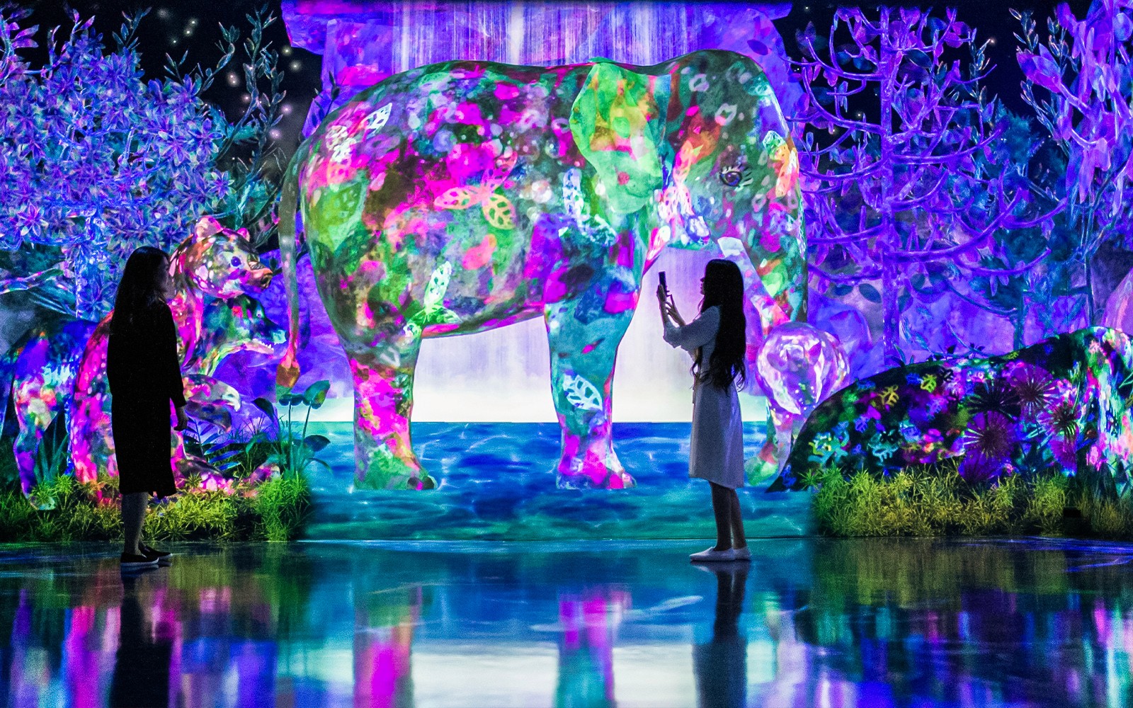 E・ZO FUKUOKA teamLab Forest Tickets