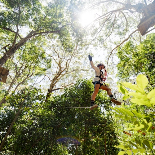 TreeTop Challenge – Currumbin Adventure Park — gallery 3
