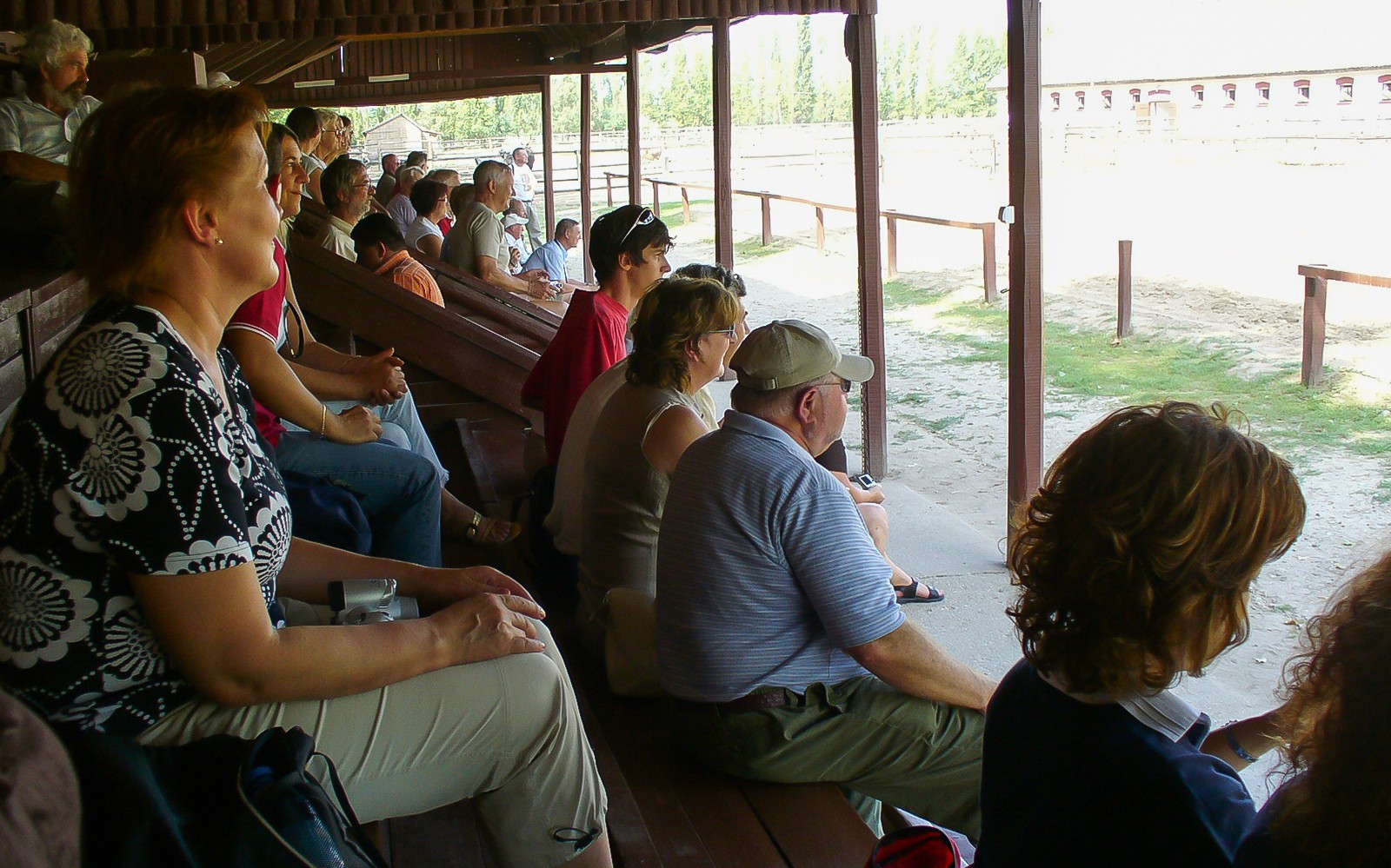 From Budapest: Kecskemet with Traditional Horse Show Day Trip — gallery 2
