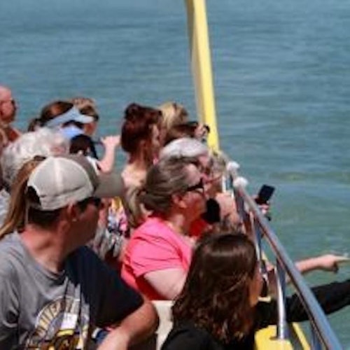 St. Pete Beach Area: Dolphin Racer Speedboat Adventure — gallery 4