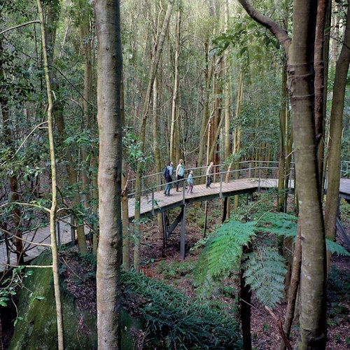 Blue Mountains & Sydney Zoo: Small-Group Guided Tour from Sydney — gallery 1