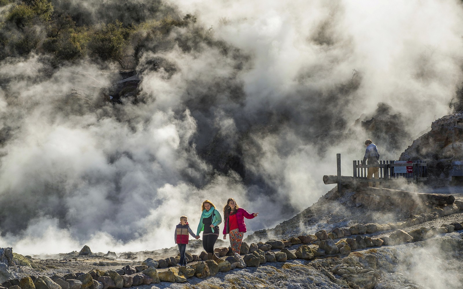 Hell's Gate Geothermal Walk & Māori Carving Tickets
