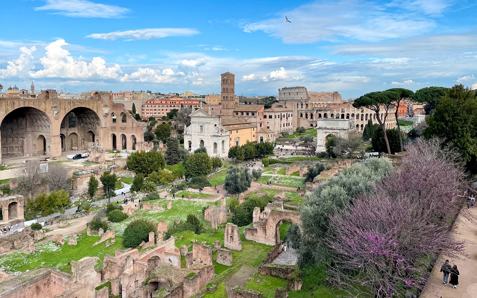 Colosseum, Palatine Hill & Roman Forum Access